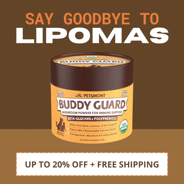 This ad features a high-contrast, benefit-forward graphic promoting immune support mushroom powder for pets, highlighting a specific product discount.